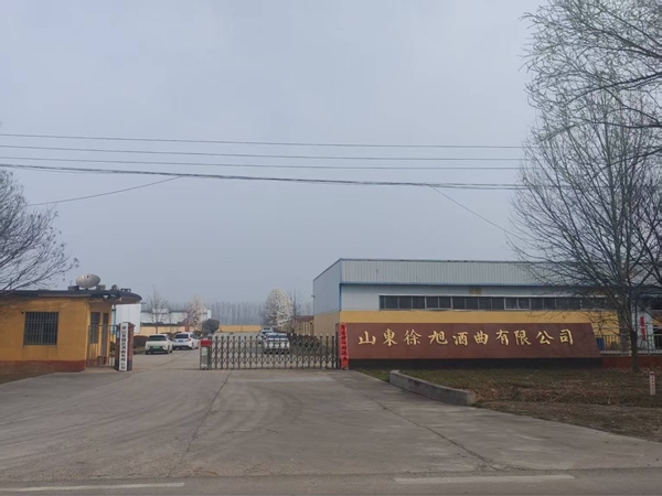 公司场景