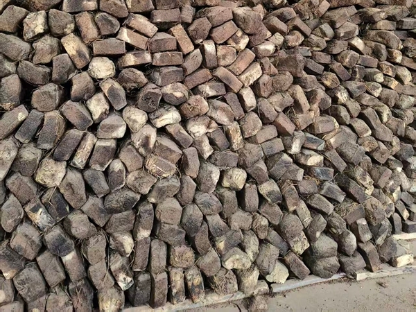 芝麻香型酒曲生产